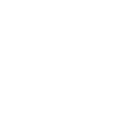 DNV ISO 9001